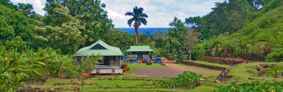 live-hawaii-5-gorgeous-volunteer-vacations-heronew-1